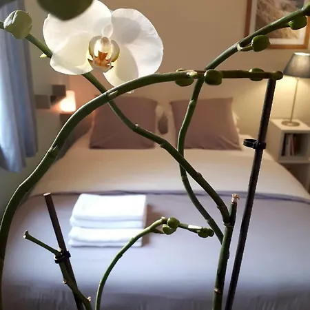 Le Coquet Appartement Sint-Omaars