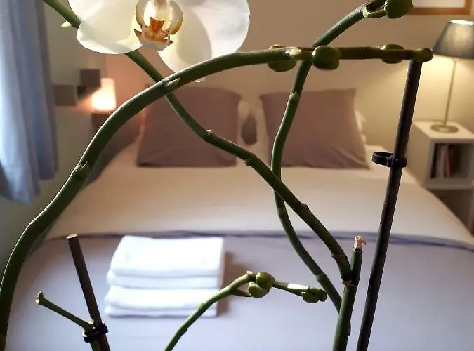 Le Coquet شقة سانت-أومير